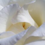 Scénarios sur mesure : 5 histoires touchantes en images