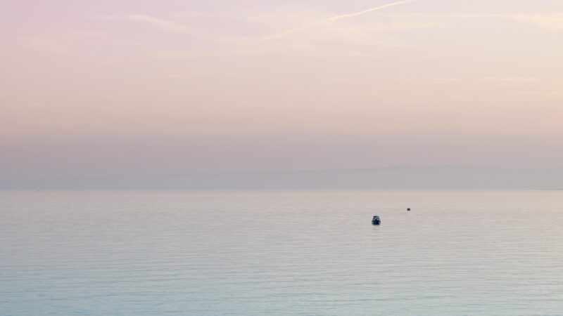 Accompagnement solitude en France — chiffres et réalités 2026